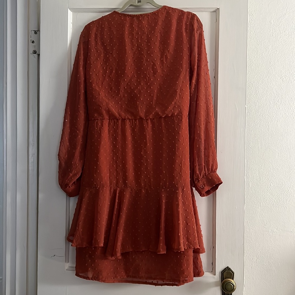 Long Sleeve Burnt Orange Dress - Picture 7 of 7